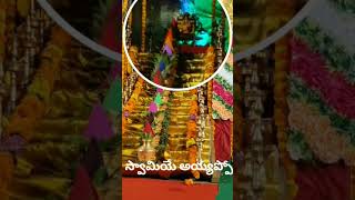 స్వామి శరణంtrendingvideo viralvideo [upl. by Anyl]