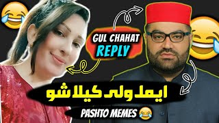 Gul Chahat Funny Reply To Aimal Wali Khan ll Aimal wali Memes 😂 [upl. by Aiynat]