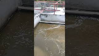 Wastewater treatment plant agriculture etp highlights effluent water [upl. by Srini]