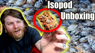 Unboxing Hundreds Of Isopods amp Showing You All The Isopods We Have Full Isopod Tour [upl. by Helbona130]