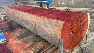 Process Sawn Red Incense Wood Bulk In Woodworking Factory  Modern Operated Sawmills [upl. by Onilecram622]