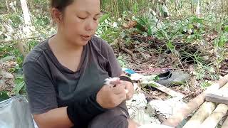 Makan tengahari di kebun Antie Alin [upl. by Greggory]