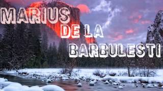 Marius De La Barbulesti 2014 [upl. by Ytsirc]