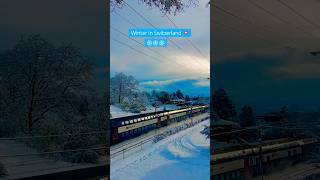 Winter in Switzerland 🇨🇭 shotrs winterinswitzerland winter2024 snow snowday switzerland [upl. by Romeo286]