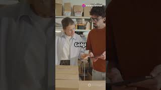 Golgi Apparatus Know About It [upl. by Anilatak]