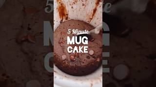 Vegan Five Minute Mug Cake [upl. by Platas344]