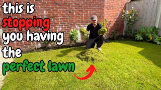 Its time to SCARIFY and VERTICUT your lawn  Autumn Lawn Tips [upl. by Ajuna738]