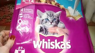 Whiskas kitten food review  Whiskas 212 months food kitten food reviewWHISKAS [upl. by Erikson]