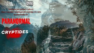 TRAIL PARANORMAL MYSTÈRES CRYPTIDES  DISPARITIONS TÉMOIGNAGE DOGMAN [upl. by Alilak]