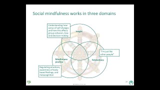 Social Mindfulness Social Justice and tackling Climate Change [upl. by Nnadroj]