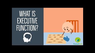 What is Executive Function [upl. by Patricio]