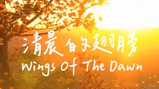 清晨的翅膀 Wings Of The Dawn  等候神音樂  靈修音樂Piano Soaking Music  Instrumental Music  Worship [upl. by Limaj]