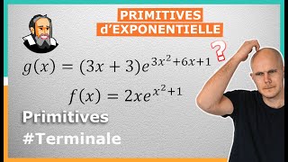 Calculer les PRIMITIVES dExponentielle  Exercice Corrigé  Terminale [upl. by Aimit911]