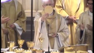 Video Priesterwijding Wim Simons [upl. by Rego]