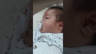 잠 안자는하준이 빈젖꼭지물고 잠이스르륵 baby 38일차 아기일상 [upl. by Alemaj]