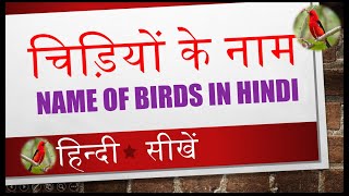 Learn Name of Birds in Hindi Video 01 of 14 [upl. by Twyla]