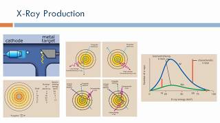 XRay Imaging XRay Production Physics Arabic Narration [upl. by Rangel209]