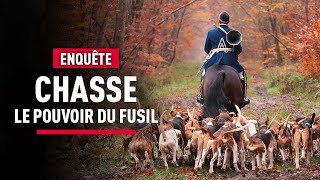 Chasse à courre  un loisir et des pratiques qui font débat  Reportage  KM [upl. by Anurag]