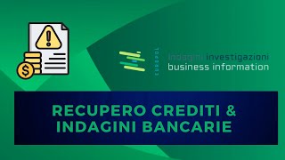 🔍💸 RECUPERO CREDITI amp INDAGINI BANCARIE 💼🔎 [upl. by Akeit]