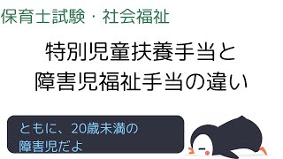 特別児童扶養手当と障害児福祉手当のちがい《保育士試験・社会福祉対策》根拠法はどっちもおなじ。 [upl. by Ulla685]