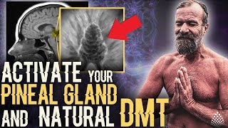 The SIMPLEST WAY to ACTIVATE your PINEAL GLAND and NATURAL BOOST OF DMT  With WIM HOF [upl. by Pollie157]