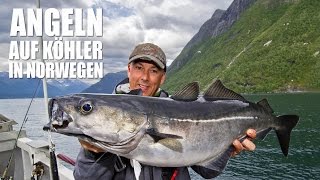 HD Part 1  Heiße Drills am Romsdalfjord  Speedpilken auf Köhler [upl. by Emmery]