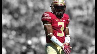 Derwin James ll quotHardest Hitting Safety In The Draftquot ll Official FSU Highlights ᴴᴰ [upl. by Blodget]