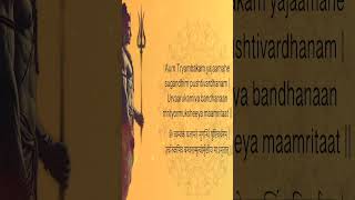 108 Times Maha Mrityunjaya Mantra Chanting  Powerful Healing and Protection Mantra  shorts [upl. by Htebazle713]