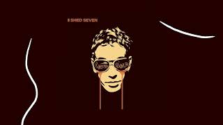 Shed Seven  Disco Down Liquid Gold Version Official Audio [upl. by Ehpotsirhc]