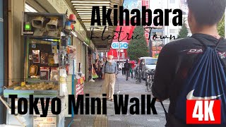 Tokyo Akihabara Mini Walk in 4K [upl. by Vasileior]