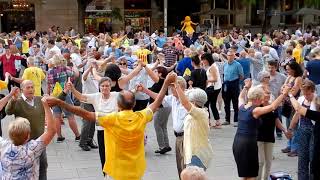 Sardana Catalan Dancing in the Cathedral Square Barcelona [upl. by Skinner]