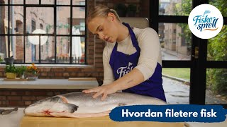 Hvordan filetere fisk  Fiskesprell [upl. by Enamrahs]