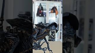 The Huge Aliens Queen Neca Toys alien aliens actionfigures [upl. by Suivart]