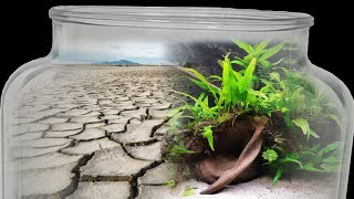 Bringing COMPLETELY DRIED Ecosystems Back to Life  This Happens [upl. by Sudnor]