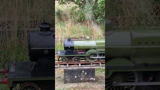 Miniature Steam Railway locomotive letting off steam 🚂💨 miniaturerailway modelengineering [upl. by Mathe839]