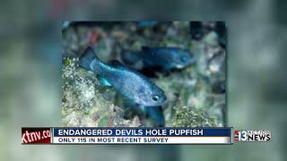 Two plead guilty in Devils Hole vandalism [upl. by Oiramd]