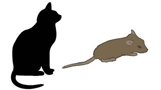 CAT GAMES  MOUSE HUNT FOR CATS ONLY [upl. by Mikkel]