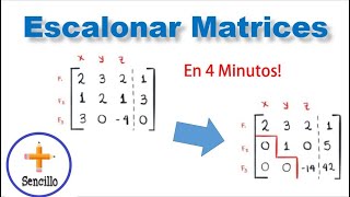 Como Escalonar matrices Método de Gauss Mas Sencillo [upl. by Arondel406]