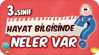 3 Sınıf Hayat Bilgisinde Neler Var Hayat Bilgisi Dersine Nasıl Çalışır❓ [upl. by Aserat]