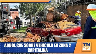 Árbol cae sobre vehículo en Zona 2 Capitalina [upl. by Hilda]