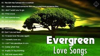 Best Evergreen Love Songs Memories  Nonstop Cruisin Romantic Love Song Collection HD [upl. by Oicatsana610]