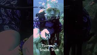 Scuba dive in Pulau Tioman 🤿🇲🇾 [upl. by Calvinna]