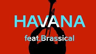 Brassical  Havana Camila Cabello Cover [upl. by Kenley]