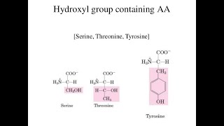 Hydroxyl Group And Sulphur Containing amino acids [upl. by Tades962]