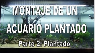 Evolución de un acuario plantado Montaje parte 2 Plantado [upl. by Eillen]