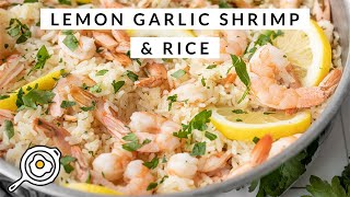 One Pot Lemon Garlic Shrimp and Rice [upl. by Anerehs]