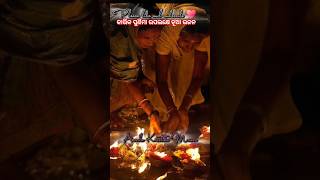 Aasila Kartika Maasa Kartikpurnima 2024🌼😍🤙🙏🌻odiasong shorts viralvideo reels instagram video [upl. by Aratahs]