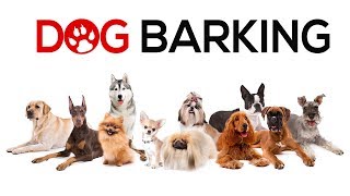 Dogs Barking Sounds To Make Your Dog REACT  34 Breeds Including Yours [upl. by Manda]