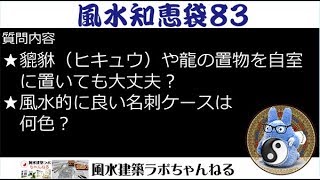 風水知恵袋８３ ★貔貅（ヒキュウ）や龍の置物を自室に置いても大丈夫？ ★風水的に良い名刺ケースは何色？ [upl. by Wershba33]