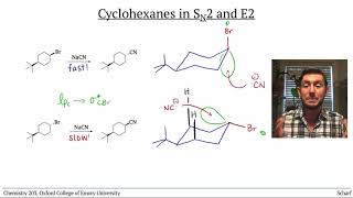 Cyclohexanes 4 SN2 and E2 on Halogenated Cyclohexanes [upl. by Honig225]